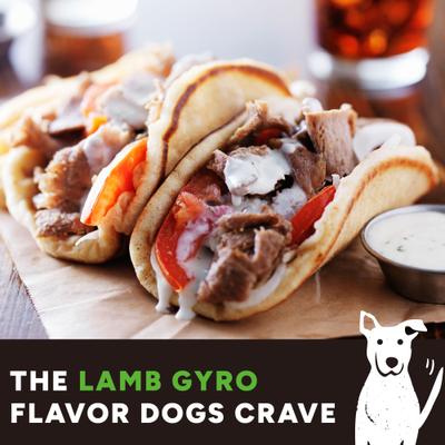 Wag More Bark Less Meatball Bites Gyro Lamb Recipe Grain-Free Dog Treats, 14-oz bag