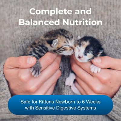 Goat's Milk KMR Kitten Milk Replacer Powder for Kittens, 12-oz can