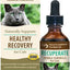 Recuperate Formula for Healthy Recovery Cat Supplement, 2-fl oz bottle