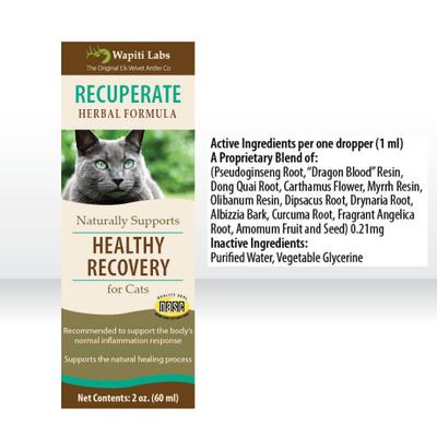 Recuperate Formula for Healthy Recovery Cat Supplement, 2-fl oz bottle