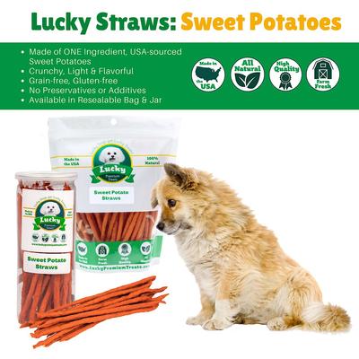 Sweet Potato Straws Dehydrated Dog Treats, 13-oz bag