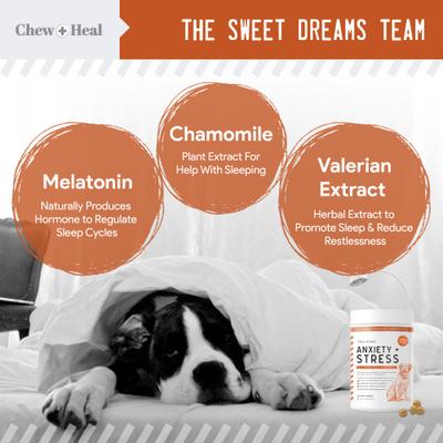 Bundle: Chew + Heal Anxiety & Stress, 60 count + Omega Skin + Coat Dog Supplement, 180 count