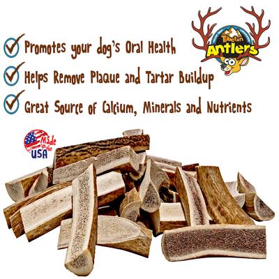 Split Antler Grain-Free Dog Treat, 1 count, Medium