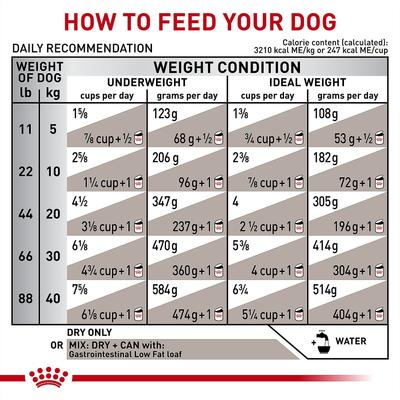Adult Gastrointestinal Low Fat Dry Dog Food, 28.6-lb bag