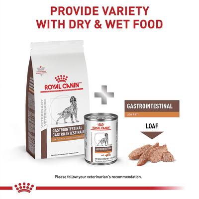 Adult Gastrointestinal Low Fat Dry Dog Food, 28.6-lb bag