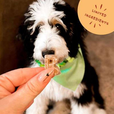 Golosinas para perros horneadas con queso sin trigo, caja de 14 oz