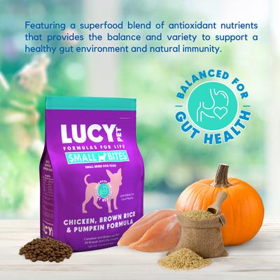 Chicken, Brown Rice & Pumpkin Limited Ingredient Diet Small Bites Dog Food, 4.5-lbs bag