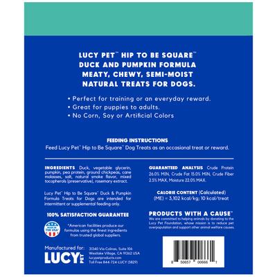 Hip To Be Square Duck & Pumpkin Formula Grain-Free Dog Treats, 6-oz bag