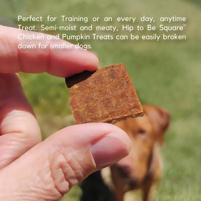 Hip To Be Square Chicken & Pumpkin Formula Grain-Free Dog Treats, 6-oz bag
