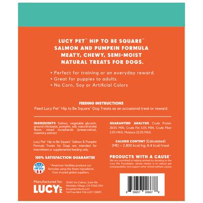 Hip To Be Square Salmon & Pumpkin Formula Grain-Free Dog Treats, 6-oz bag