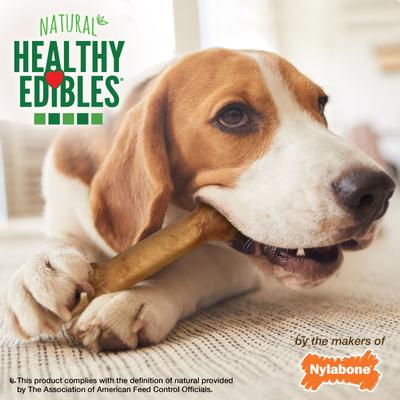 Golosinas masticables para perros de tocino de larga duración totalmente naturales de Healthy Edibles, tamaño mediano, 1 unidad