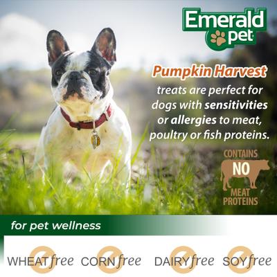Pumpkin Harvest Oven Baked with Apple Chicken-Free Dog Treats, 6-oz bag