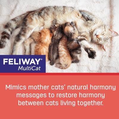 Paquete: Repuesto de difusor calmante Feliway MultiCat para gatos (1 unidad) + Arena aglomerante de arcilla sin aroma Frisco Multi-Cat