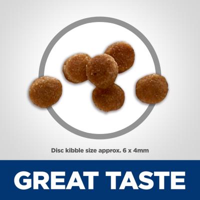 Kitten Chicken & Brown Rice Recipe No Corn, Wheat or Soy Dry Cat Food, 6-lb bag