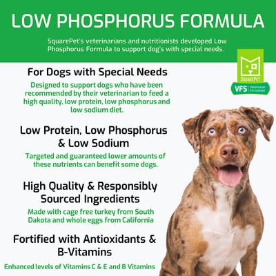 VFS Low Phosphorus Formula Dry Dog Food, 22-lb bag