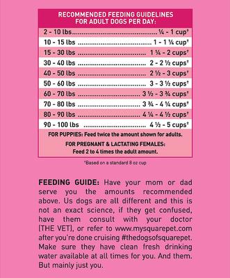 VFS Ideal Digestion Dry Dog Food, 22-lb bag