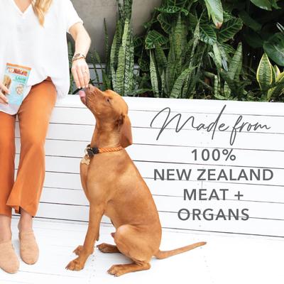 Healthy Bites Chicken Freeze-Dried Dog Treats, 1.76-oz bag