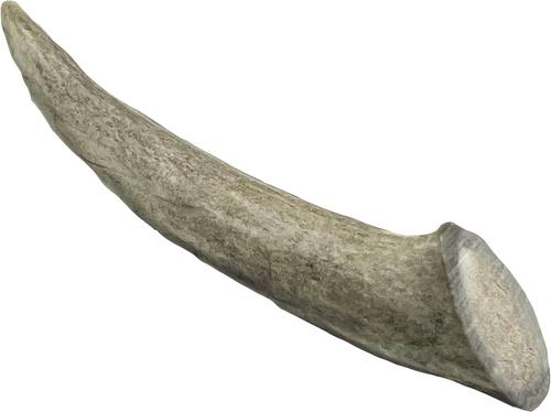 5 to 8-in Whole Deer Antler Dog Treats, Small, 2 count