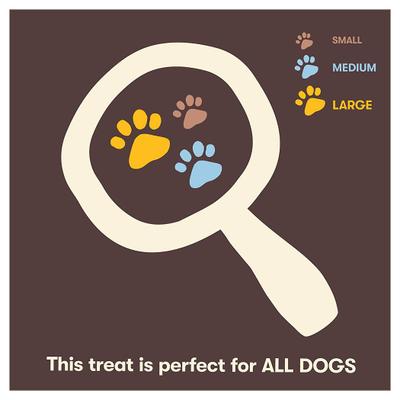 Chik 'n Sweet Potato Stix Dehydrated Dog Treats, 14-oz bag