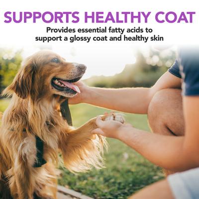 Healthy Skin & Coat Protection Brewer's Yeast & Garlic Flavored Chews Dog Supplement, 60 count
