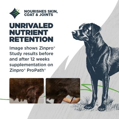 Lean Senior Chicken Meal with Ancient Grains Recipe Dry Dog Food, 4.5-lb bag