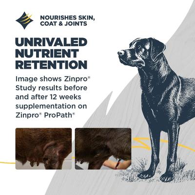 Puppy Performance, Growing & Working Chicken Meal with Ancient Grain Recipe Dry Dog Food, 24-lb bag