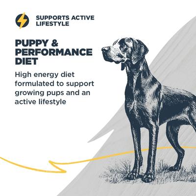 Puppy Performance, Growing & Working Chicken Meal with Ancient Grain Recipe Dry Dog Food, 24-lb bag