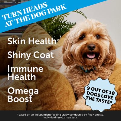 Bundle: Pet Honesty Allergy SkinHealth & Flaxseed, Omegas & Probiotics Dog Supplement, 90 count + Pet Honesty Salmon SkinHealth Snacks Skin & Coat Soft Chews Dog Supplement, 90 count