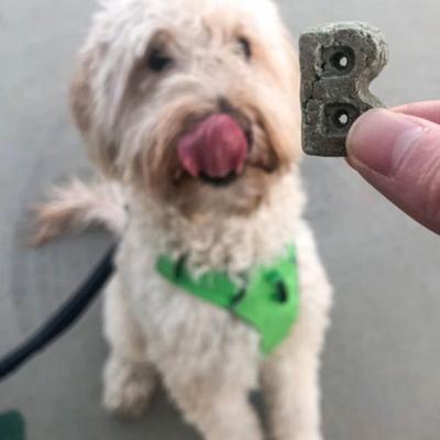 Daily Support Breath Aid Apple & Mint Recipe Dog Treat, 12-oz box