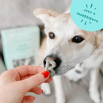 Daily Support Breath Aid Apple & Mint Recipe Dog Treat, 12-oz box