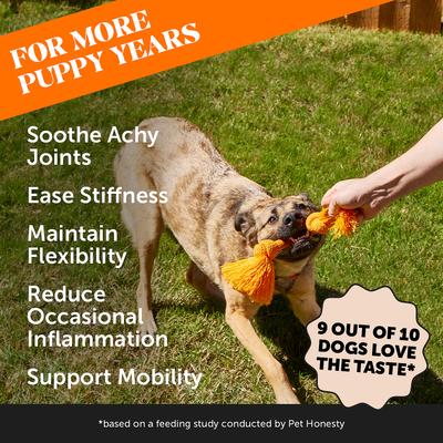 Bundle: Pet Honesty Allergy Support Immunity Strength & Digestive Health + Hemp Mobility Snacks Hip + Joint Support Soft Chews Dog Supplement
