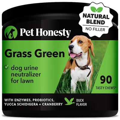 Bundle: Pet Honesty Allergy Support Immunity Strength & Digestive Health + GrassGreen Snacks Cranberry Extract with Probiotics Soft Chews Dog Supplement