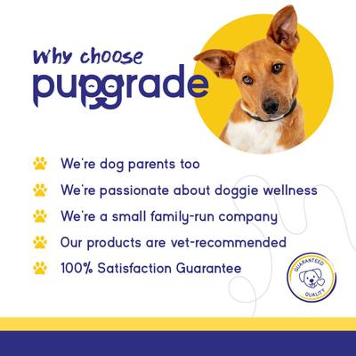 Skin & Coat Omega-3 Fish Oil Soft Chew Supplement for Dogs, 60 count