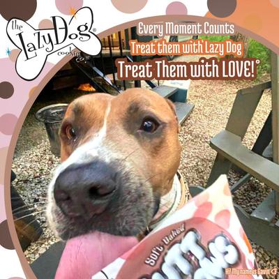 Mutt Mallows Sweetie S'mores Soft-Baked Dog Treats, 5-oz bag