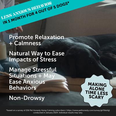 Bundle: Pet Honesty Allergy Support Immunity Strength & Digestive Health + Hemp Calming Anxiety & Hyperactivity Soft Chews Dog Supplement