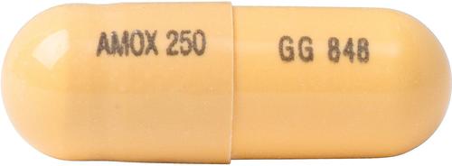 (Generic) Capsules for Dogs & Cats, 250-mg, 120 capsules