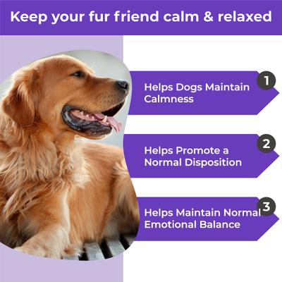 Calming+ Soft Chew Calming Supplement for Dogs, 120 count