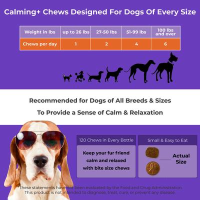 Calming+ Soft Chew Calming Supplement for Dogs, 120 count
