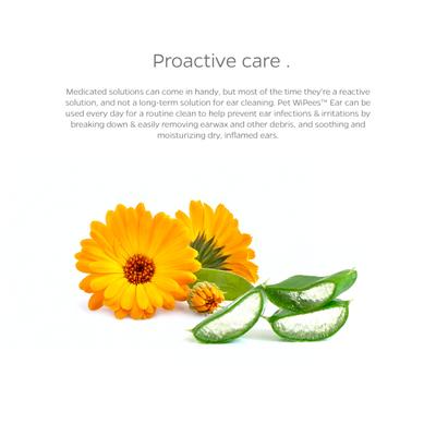 Pet WiPees Natural Scent Cat & Dog Ear Wipes, 200 count