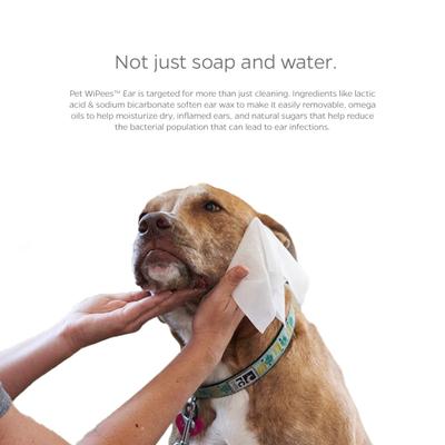 Pet WiPees Natural Scent Cat & Dog Ear Wipes, 200 count