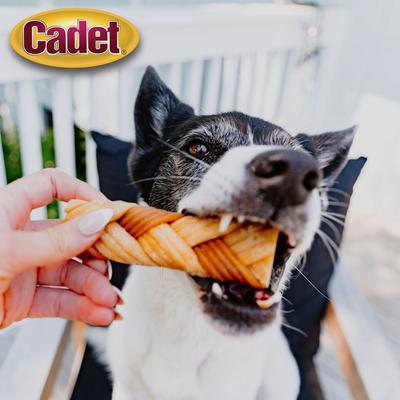 Chewalicious Chewy 'N Crunchy Braids Chicken Flavor Dog Chews, Small, 7 count