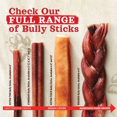 Golosinas para perros Bully Sticks sin olor, 12 pulgadas, 5 unidades