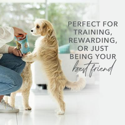 Lamb Lung Protein Bites Air-Dried Dog Treats, 1.76-oz bag