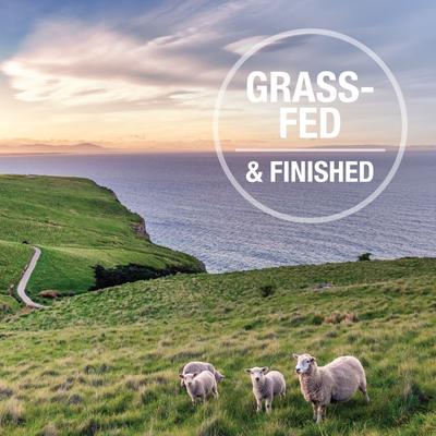 Lamb Lung Protein Bites Air-Dried Dog Treats, 1.76-oz bag