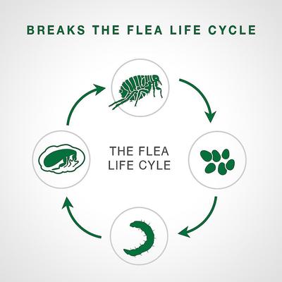 Bundle: Advantage II Flea Spot Treatment, 5-9 lbs + Elanco Tapeworm Cat De-Wormer