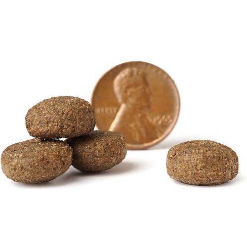 Alimento seco Elite Canine para perros de razas grandes sin gluten, con pollo y pescado (paquete de 80 lb)