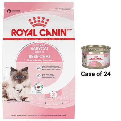 Bundle: Royal Canin Feline Health Nutrition Mother & Babycat Dry Food + Ultra Soft Mousse in Sauce Canned Cat Food