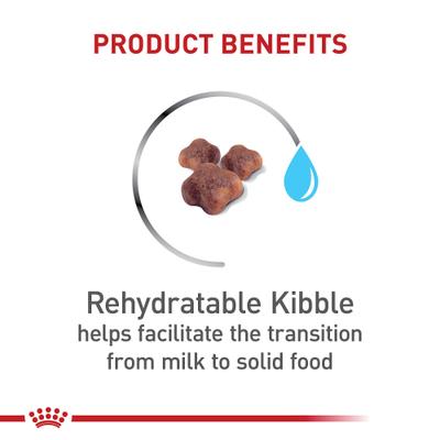 Bundle: Royal Canin Feline Health Nutrition Mother & Babycat Dry Food + Ultra Soft Mousse in Sauce Canned Cat Food