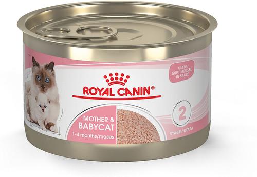 Bundle: Royal Canin Feline Health Nutrition Mother & Babycat Dry Food + Ultra Soft Mousse in Sauce Canned Cat Food