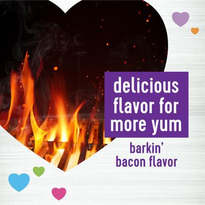 Shine Skin & Coat Bacon Flavor Chew Supplements for Dogs, 45 count